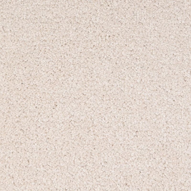 Spectrum carpet by Dixie Home