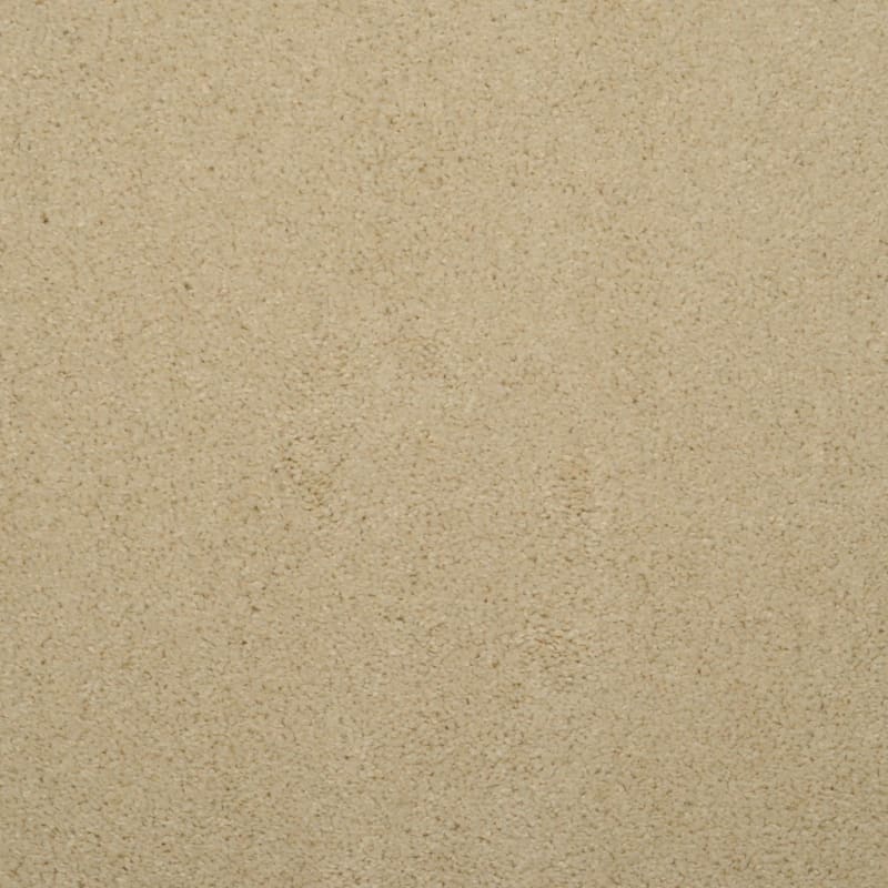 Soft & Silky carpet by Dixie Home