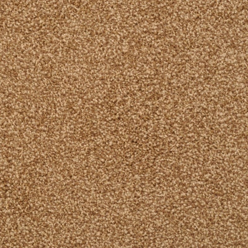 Cozy carpet by Dixie Home