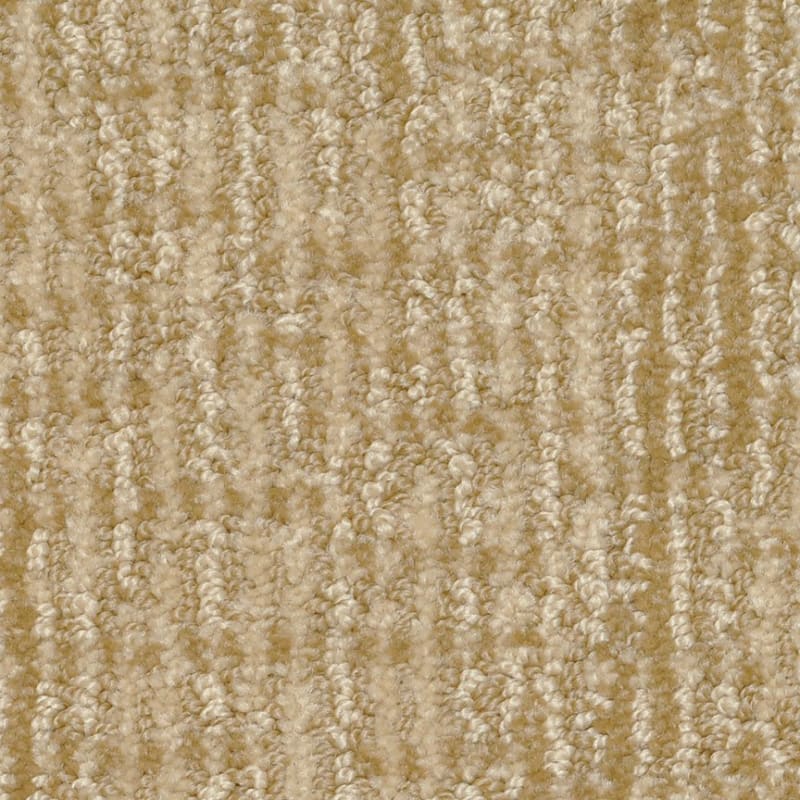 Seagate carpet by Dixie Home
