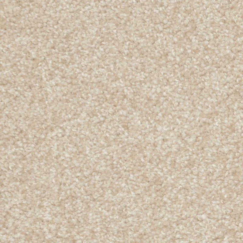 Treasured Moment carpet by Dixie Home