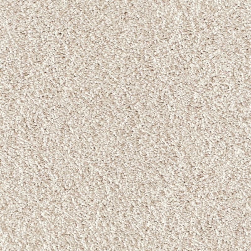 Akita carpet by Dixie Home