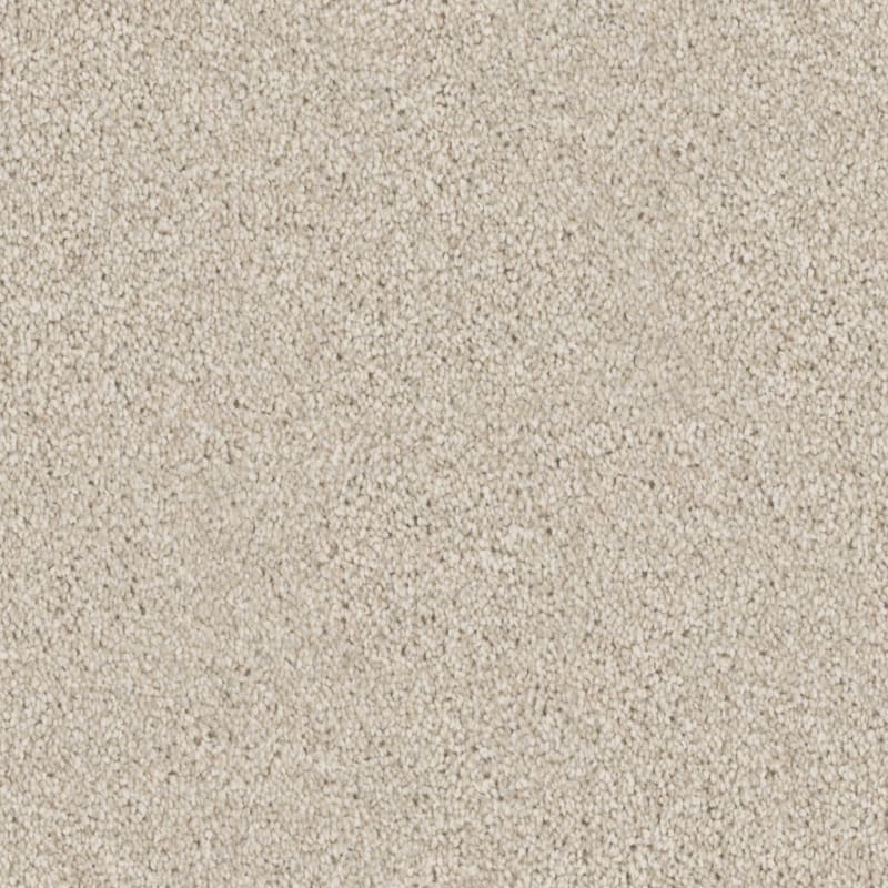 Admiration carpet by Dixie Home