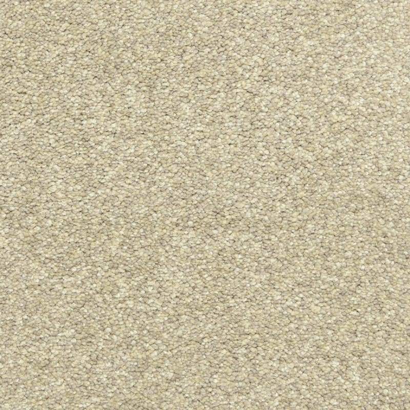 Leigh Way carpet by Dixie Home