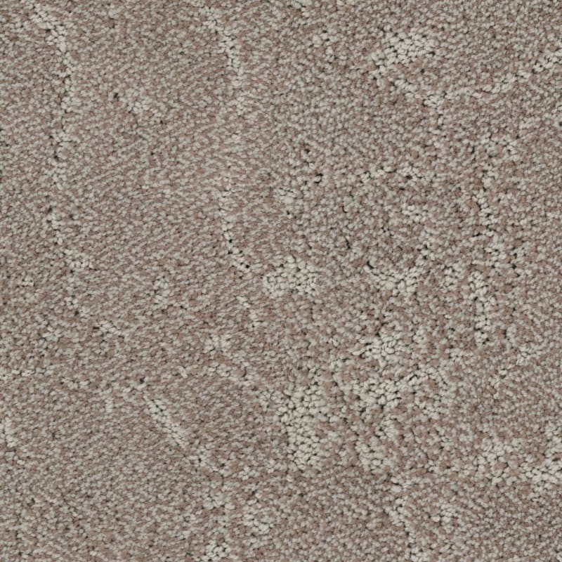 Shelter carpet by Dixie Home