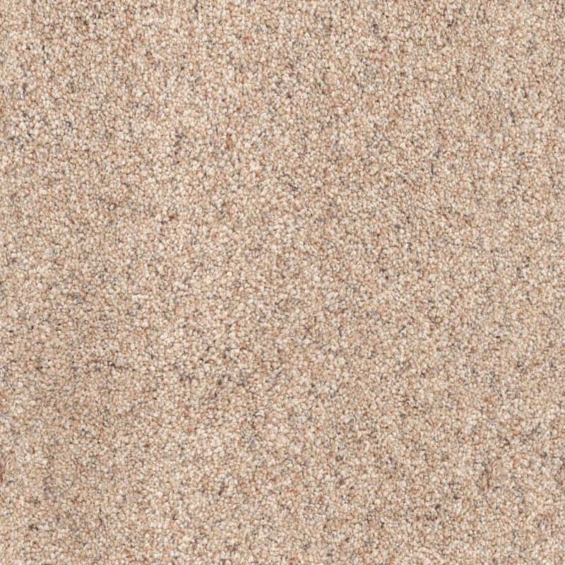 Great Dane carpet by Dixie Home