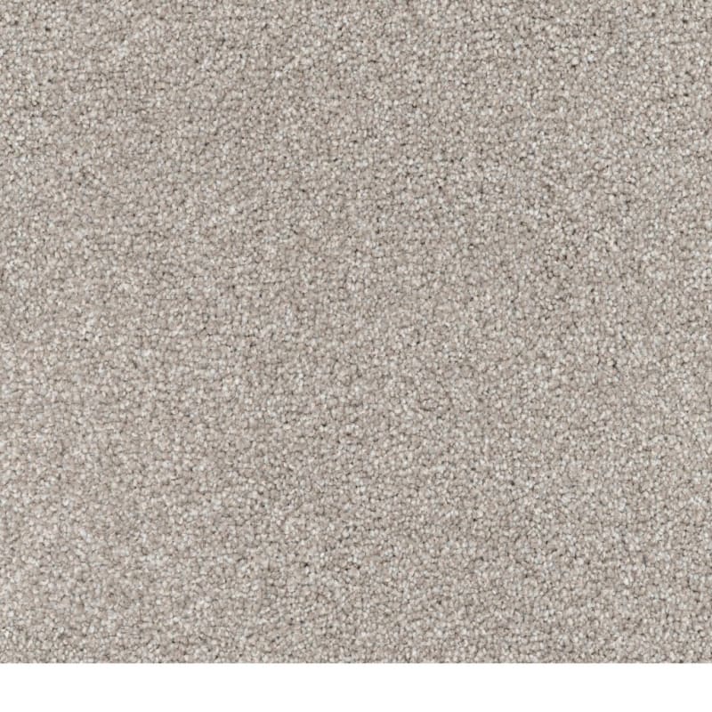 Great Dane carpet by Dixie Home