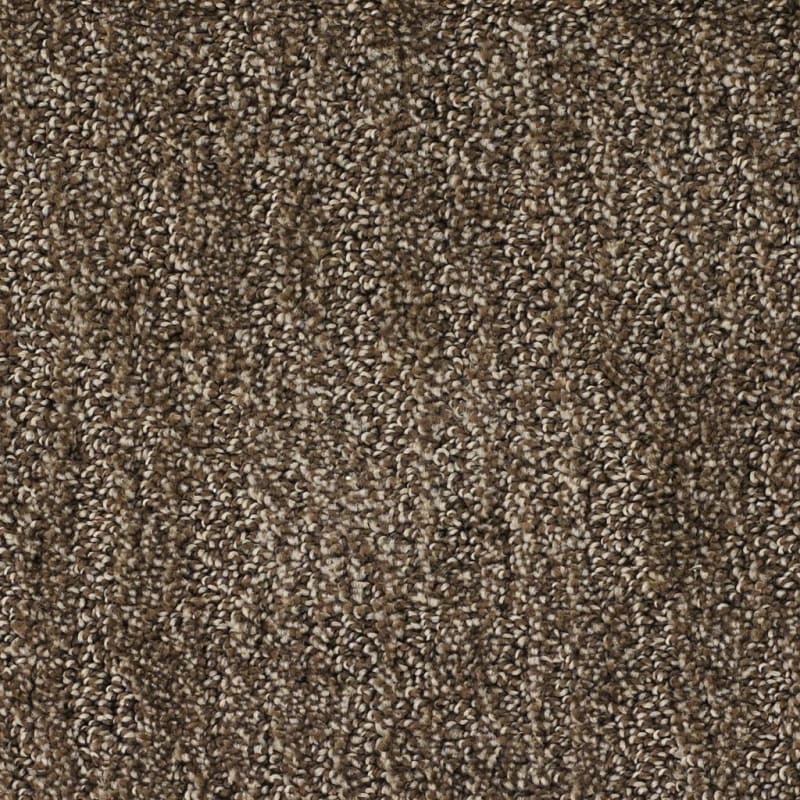 Delano carpet by Dixie Home