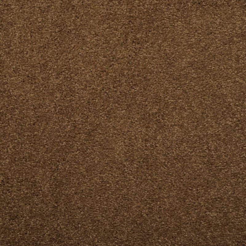 Soft & Silky carpet by Dixie Home