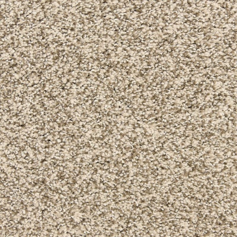 Rochelle carpet by Dixie Home