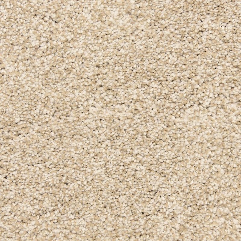 Rochelle carpet by Dixie Home