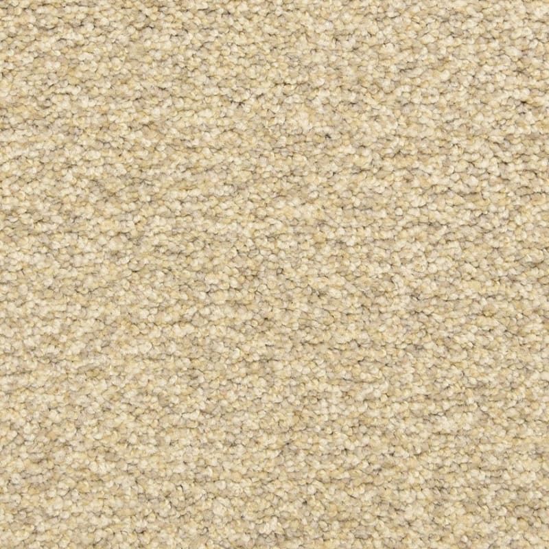 Colorworks carpet by Dixie Home