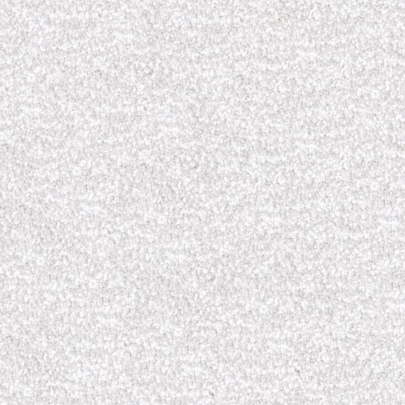 Dx220 carpet by Dixie Home