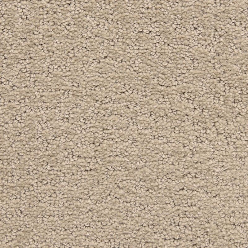Prize Winner carpet by Dixie Home
