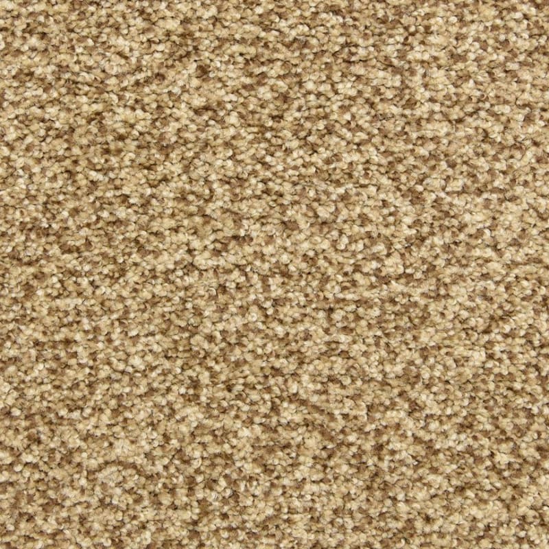 Colorworks carpet by Dixie Home