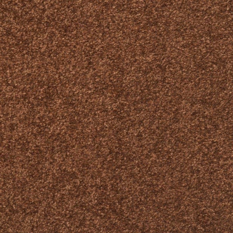 Inspiring carpet by Dixie Home