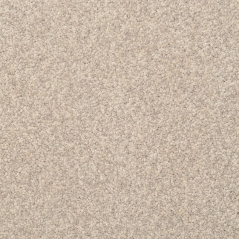 Cozy carpet by Dixie Home