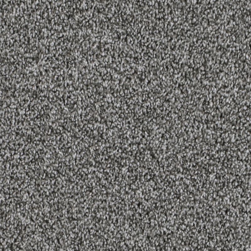 Dx108 carpet by Dixie Home