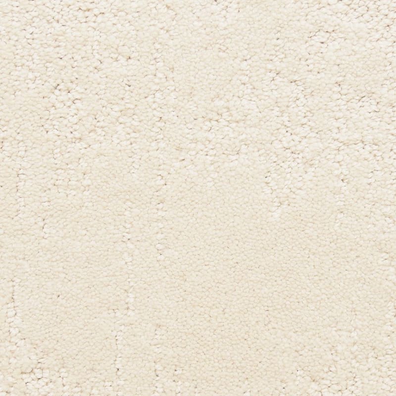 Attributes carpet by Dixie Home