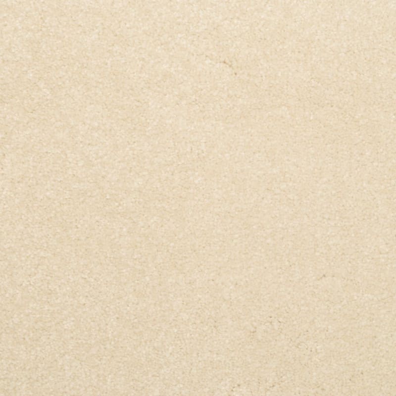 Inspiring carpet by Dixie Home