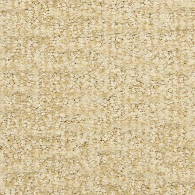 Aspects carpet by Dixie Home