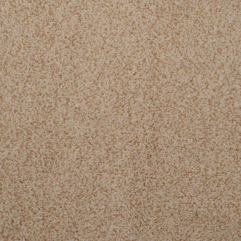 Soft & Silky carpet by Dixie Home