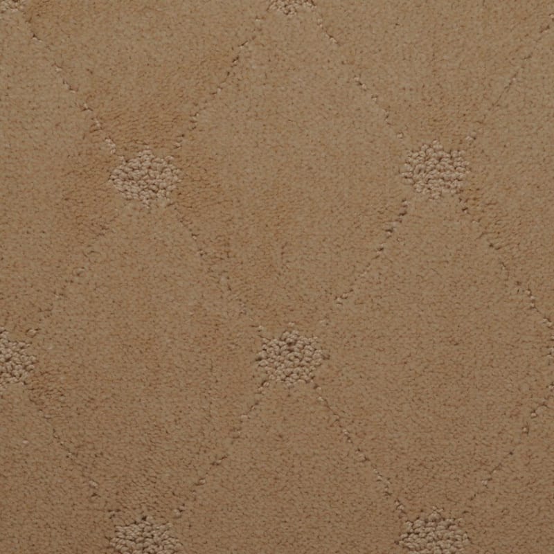 Genteel carpet by Dixie Home