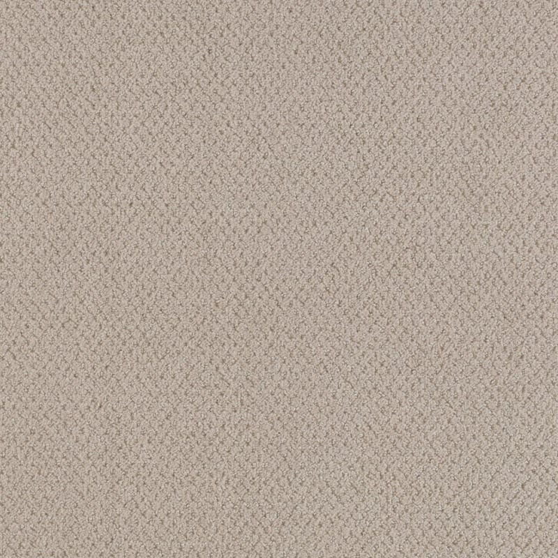 Dx300 carpet by Dixie Home