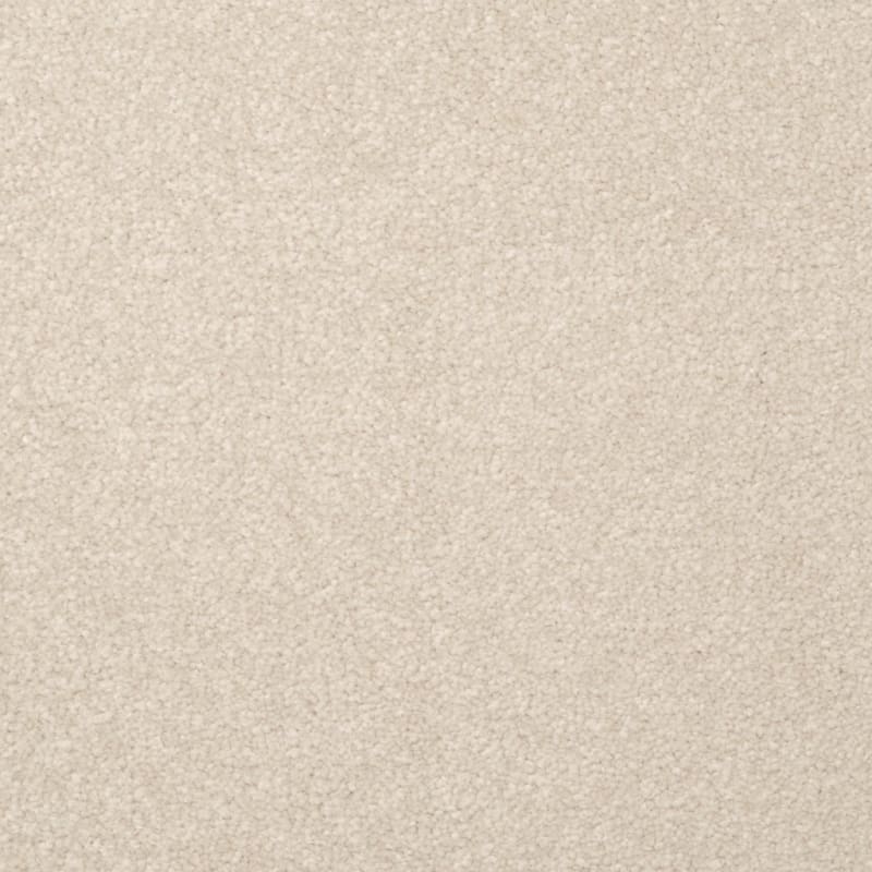 Inspiring carpet by Dixie Home