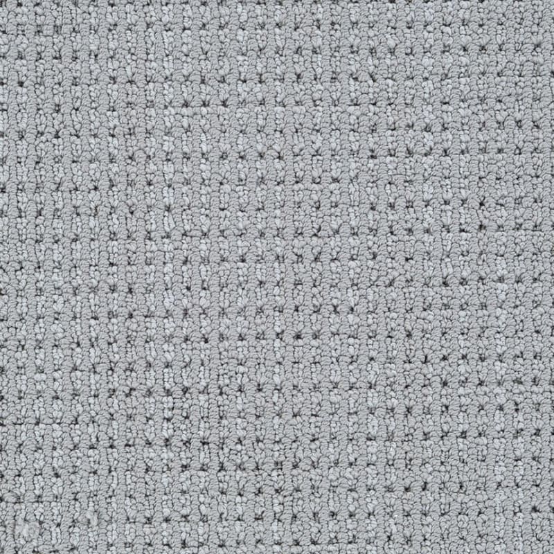 Top Notch carpet by Dixie Home