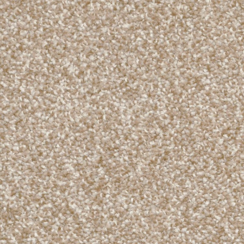 Treasured Moment carpet by Dixie Home