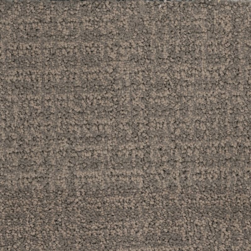 Connection carpet by Dixie Home