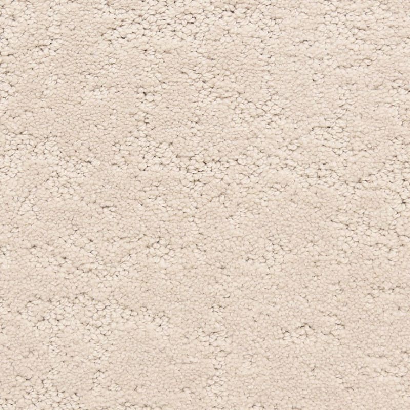 Classic Demeanor carpet by Dixie Home