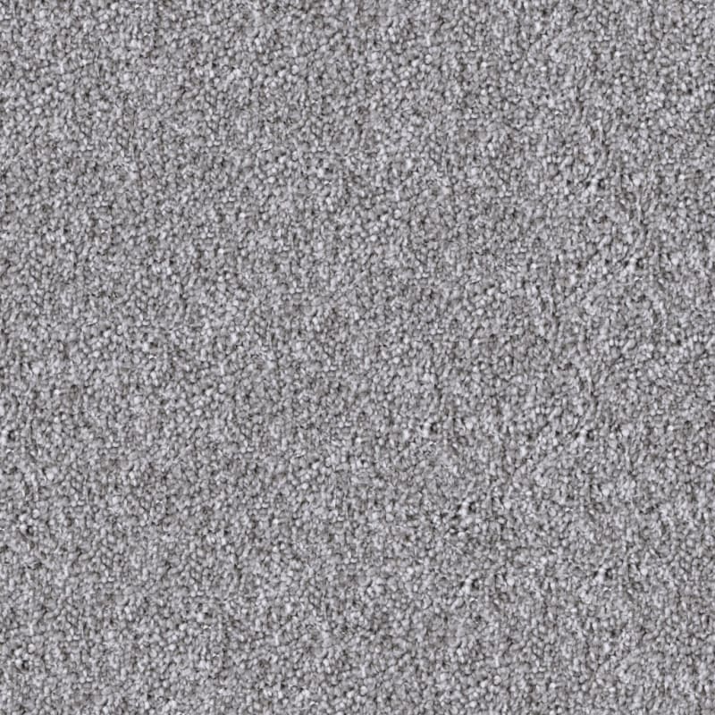 Dx835 carpet by Dixie Home
