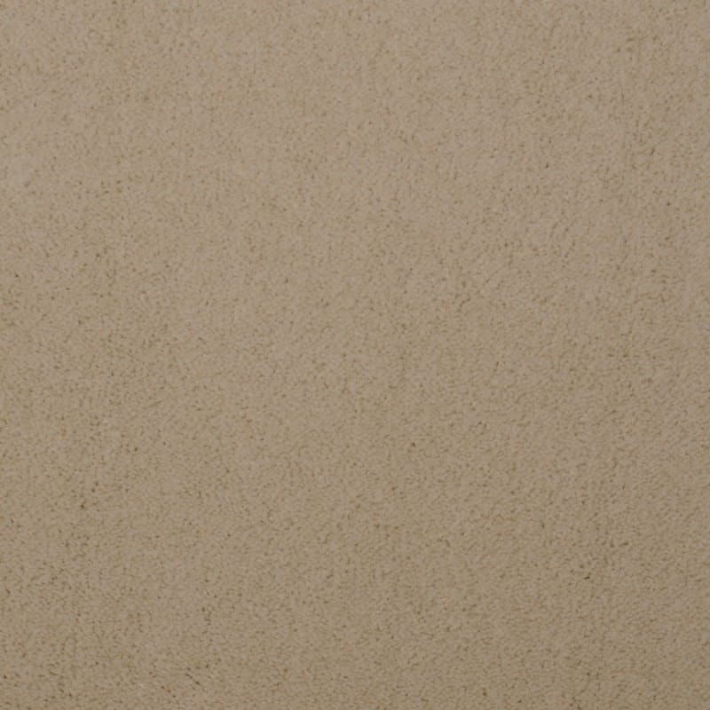 Touch of Velvet carpet by Dixie Home