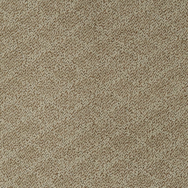 Fine Art carpet by Dixie Home
