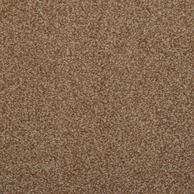 Spellbinding carpet by Dixie Home