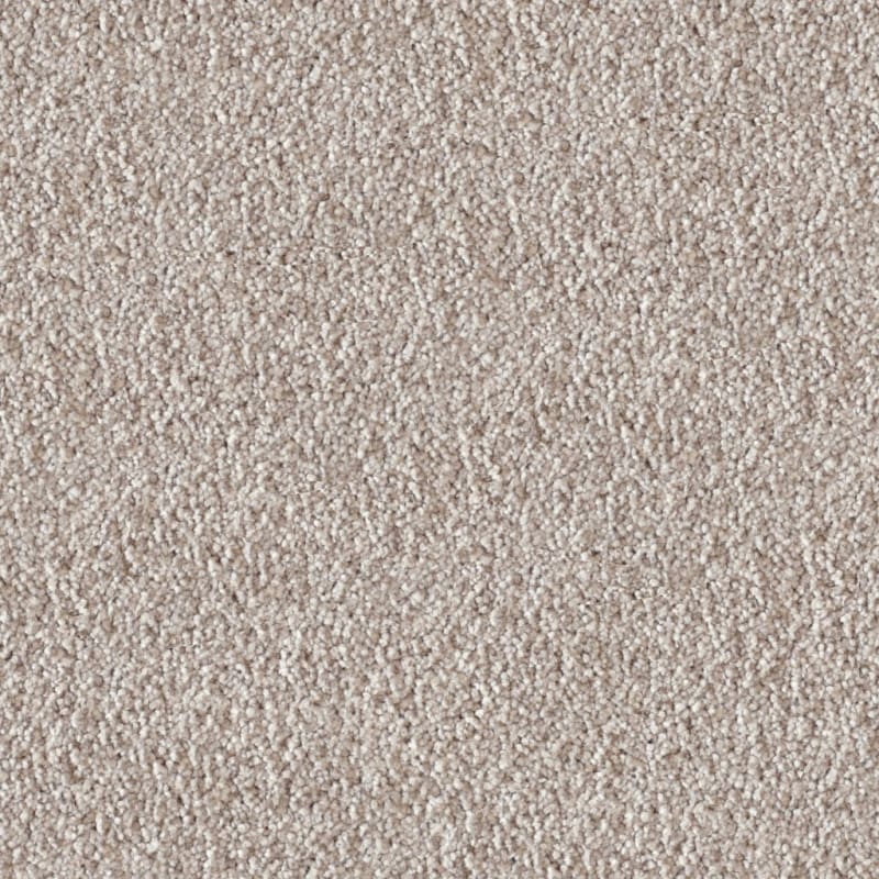 Akita carpet by Dixie Home