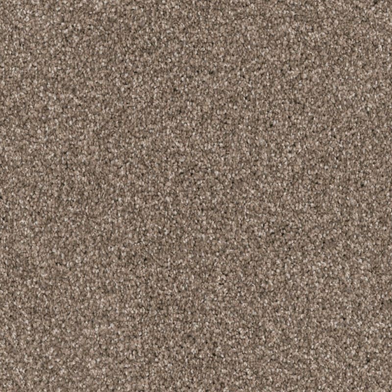Husky carpet by Dixie Home