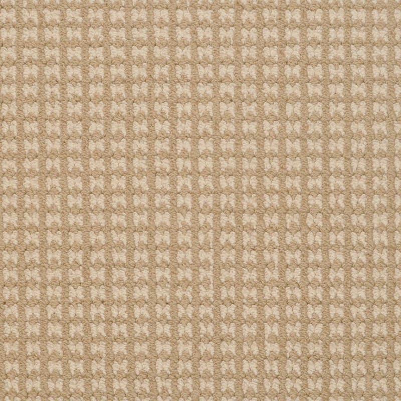 Steadfast carpet by Dixie Home