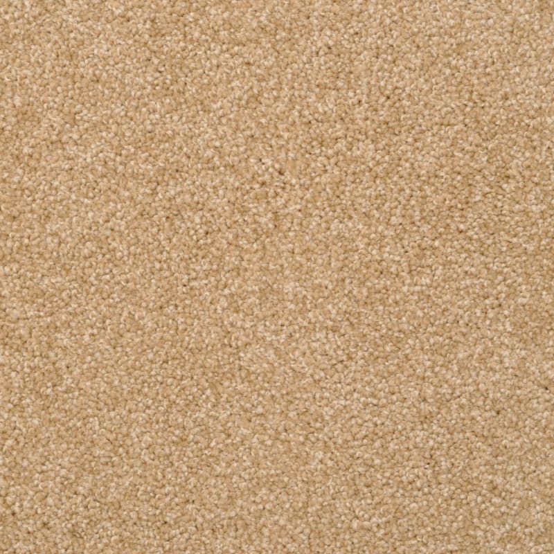 Cozy carpet by Dixie Home