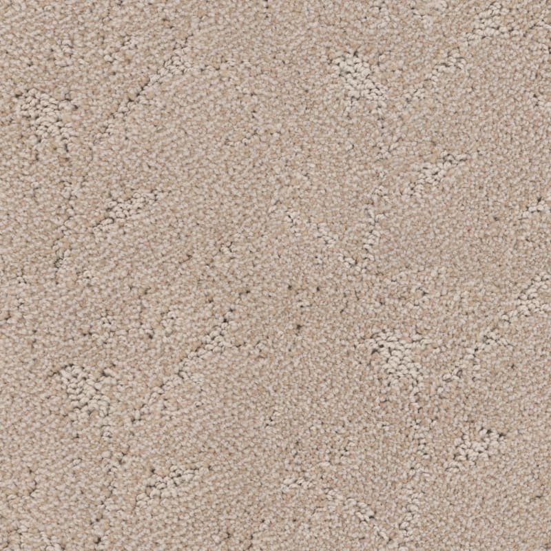 Shelter carpet by Dixie Home