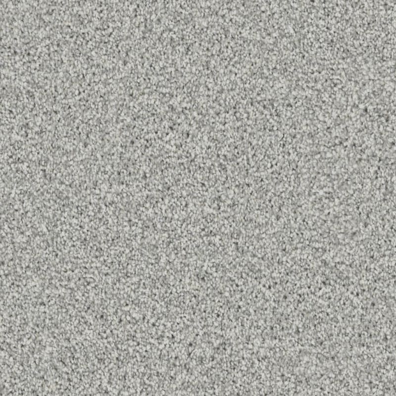 Admiration carpet by Dixie Home