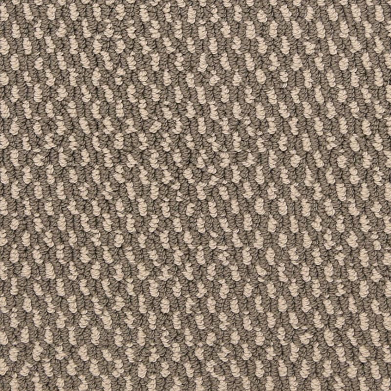 Larson carpet by Dixie Home