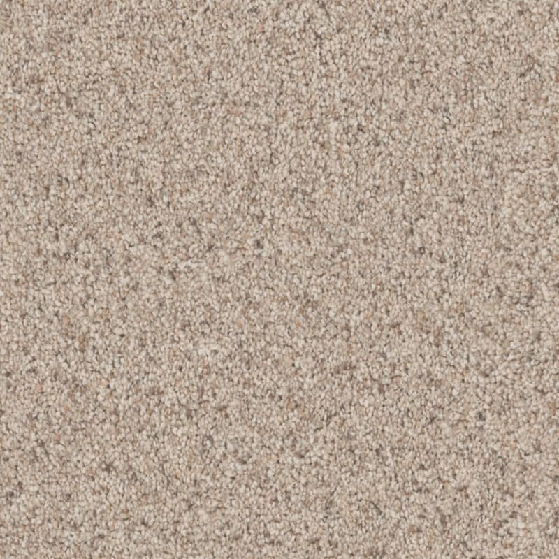 Admiration carpet by Dixie Home
