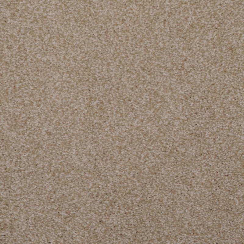 Spellbinding carpet by Dixie Home