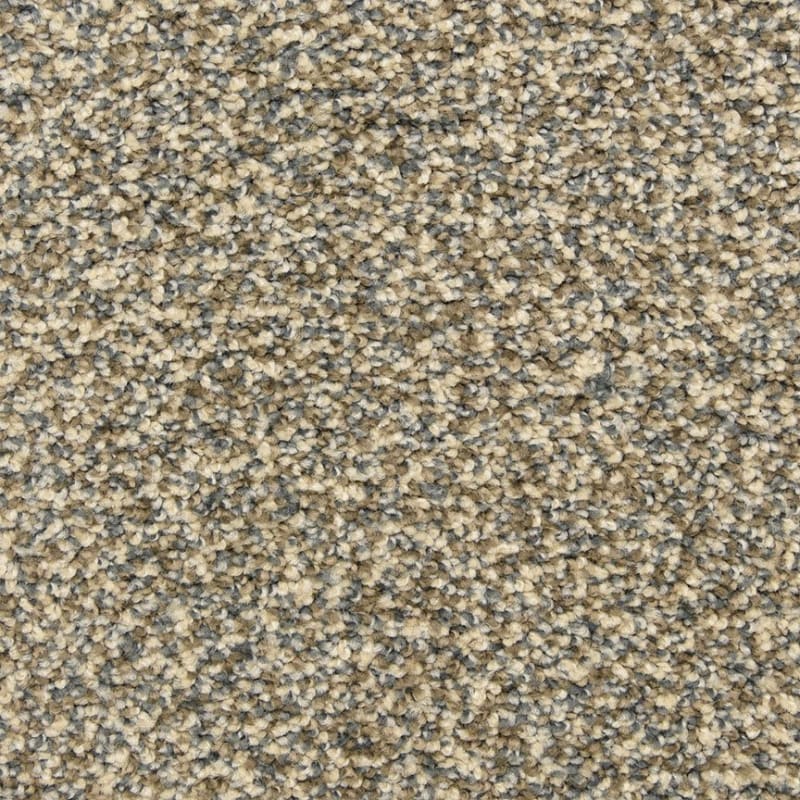Colorworks carpet by Dixie Home