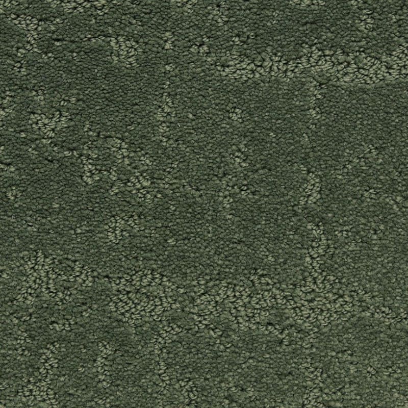 Classic Demeanor carpet by Dixie Home