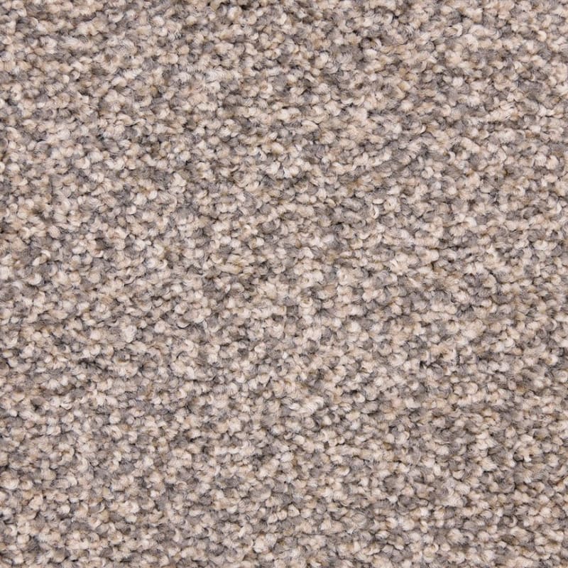 Star Power carpet by Dixie Home