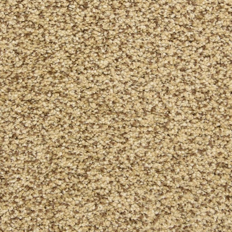 Colorworks carpet by Dixie Home